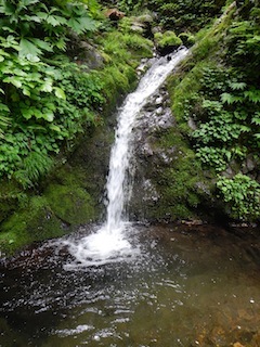 c0359615_20431433.jpg