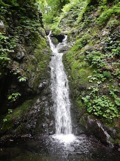 c0359615_20434436.jpg