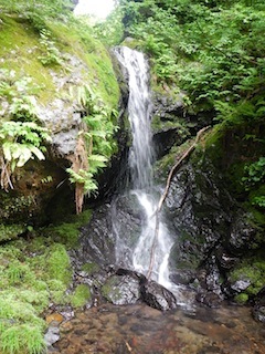 c0359615_20440796.jpg