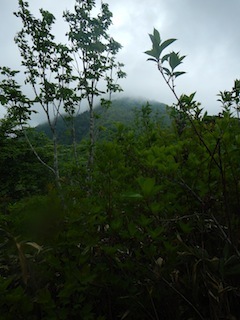 c0359615_20444338.jpg