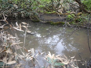 c0359615_20450775.jpg