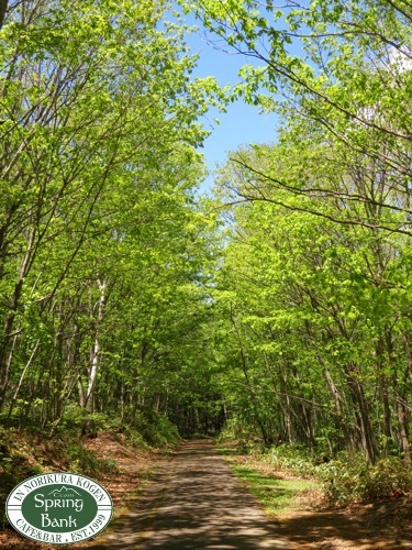 a0353718_19365751.jpg