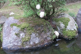 e0081218_22262847.jpg
