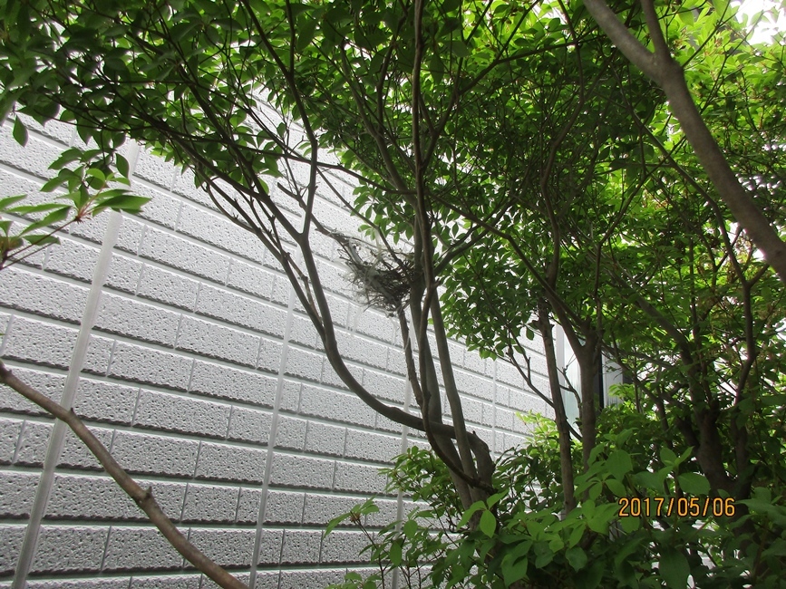 d0181824_10385250.jpg