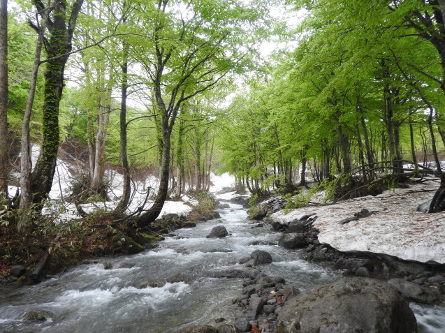 f0118332_00312079.jpg