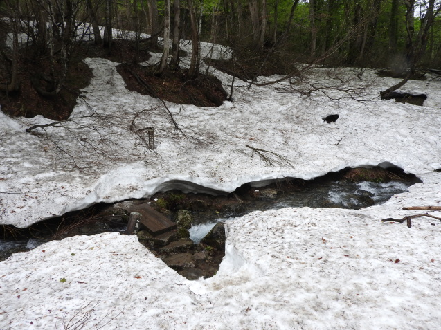 f0118332_00320757.jpg