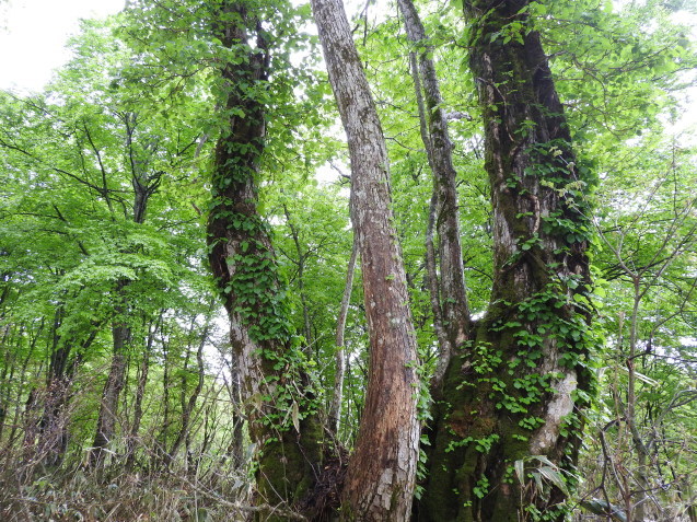 f0118332_00321782.jpg