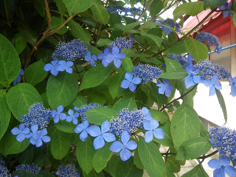 c0033636_7395952.jpg