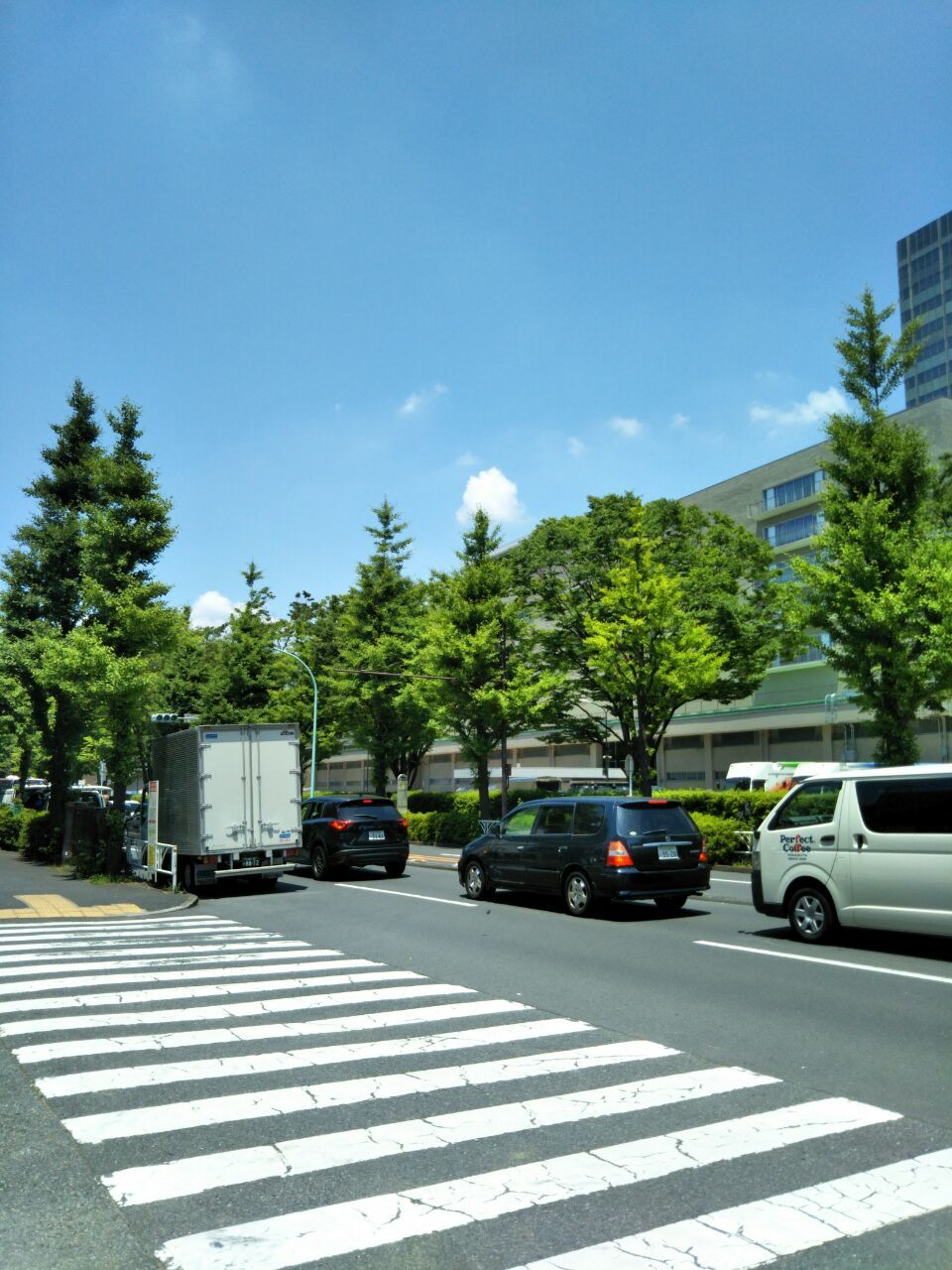 b0031140_19150828.jpg