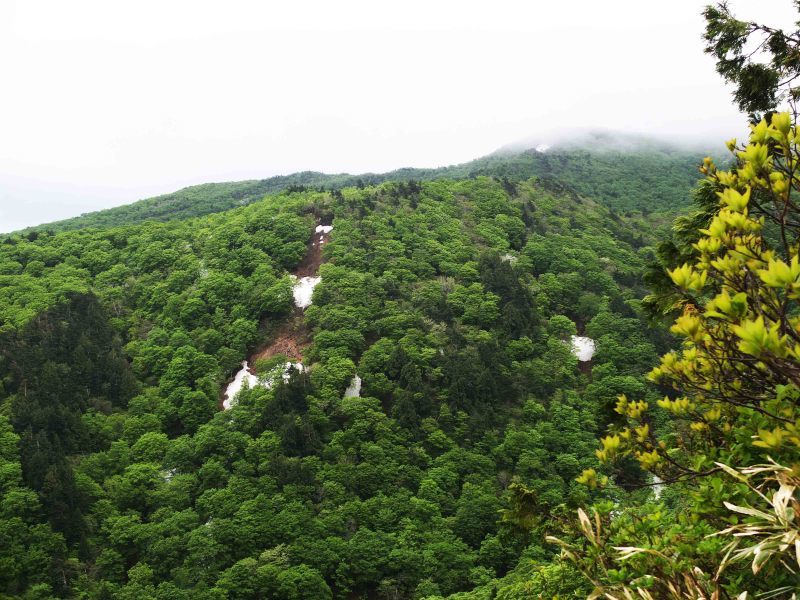 d0347140_07113261.jpg