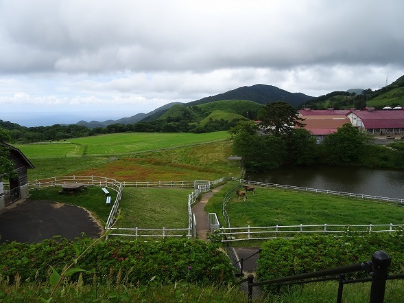 b0299042_20390266.jpg