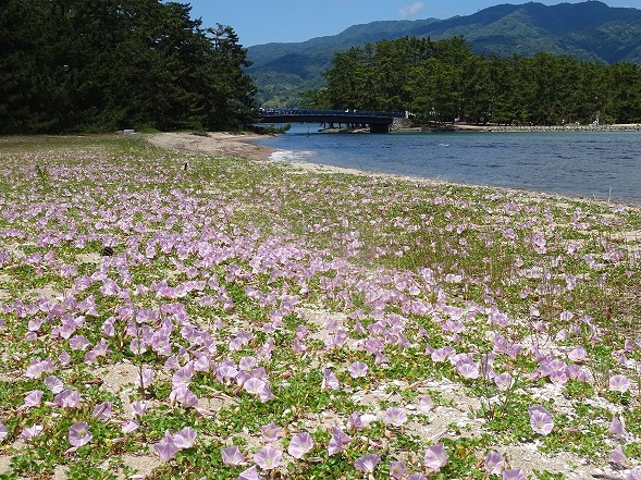 b0299042_20415427.jpg