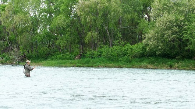d0075843_21013549.jpg