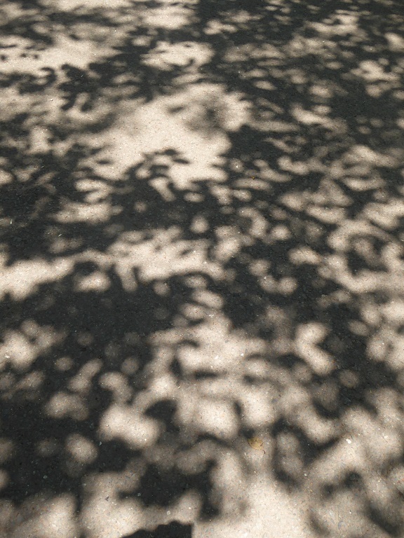 d0288144_12032341.jpg