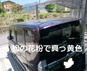 d0306248_22095551.jpg