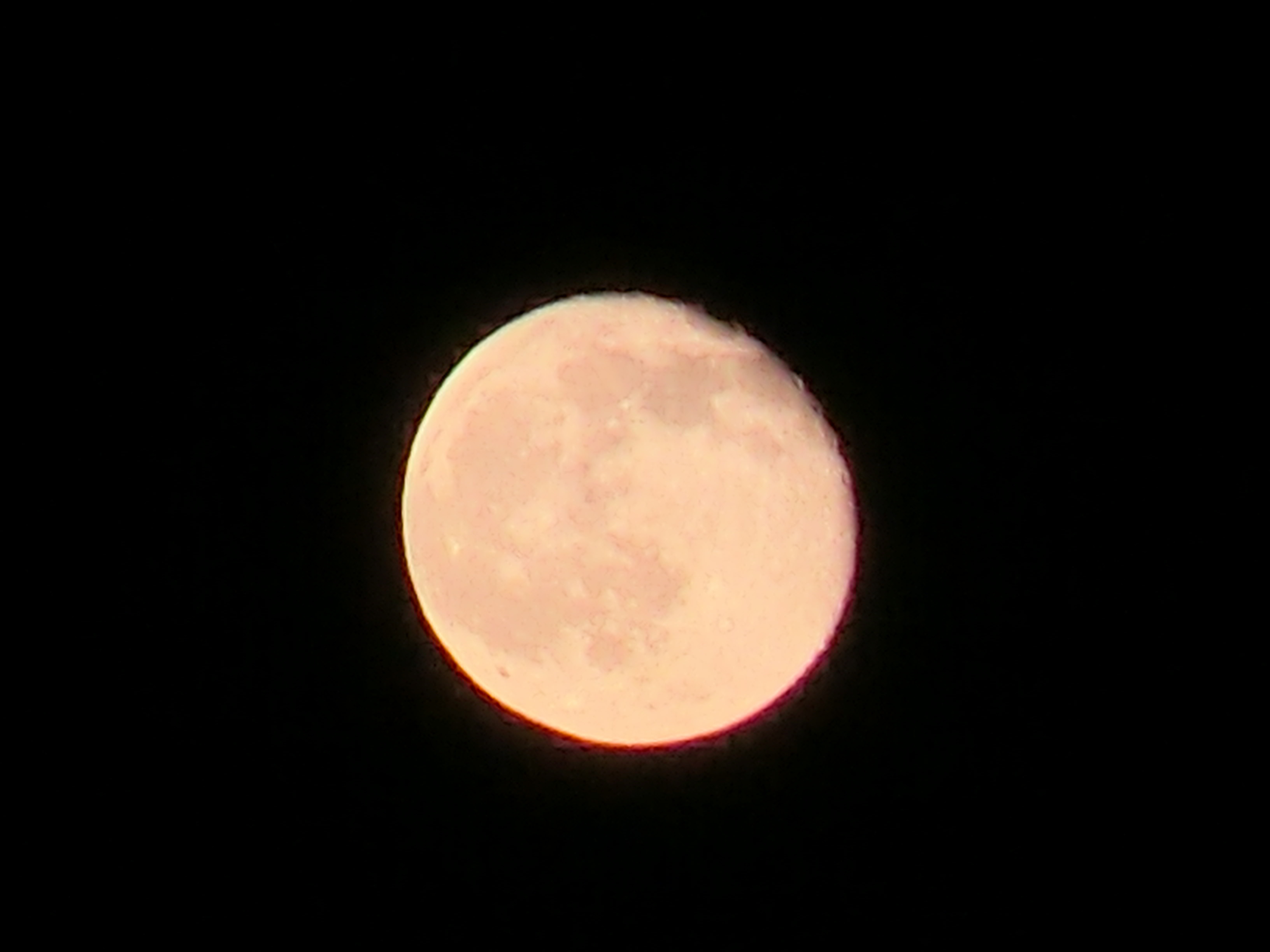 d0205250_22400016.jpg