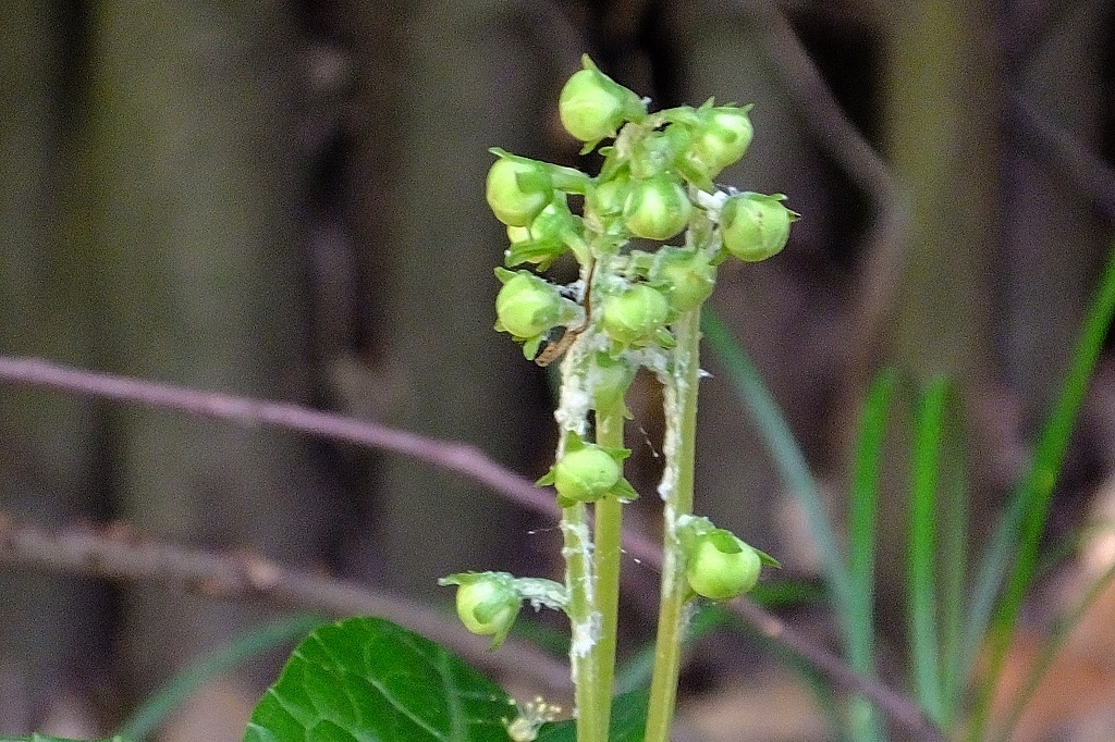 b0236251_10221751.jpg