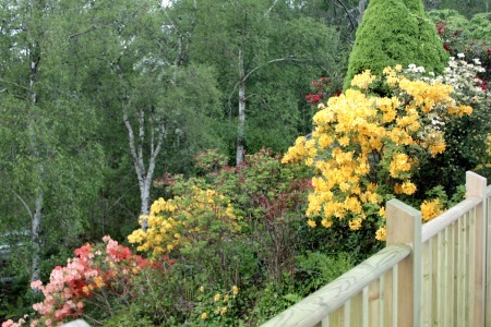 f0179059_08042289.jpg