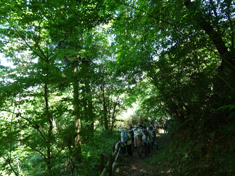 c0108460_01531704.jpg