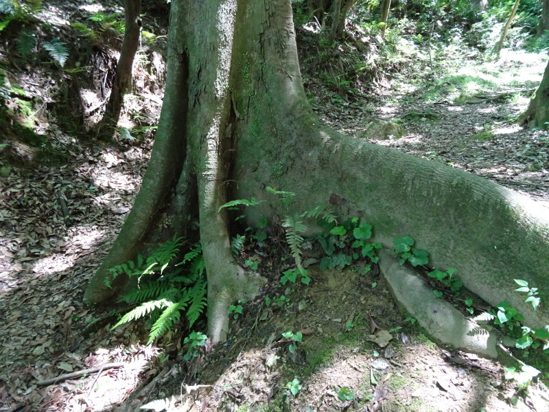 c0108460_01572137.jpg