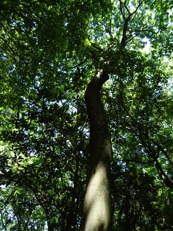 c0108460_01572432.jpg