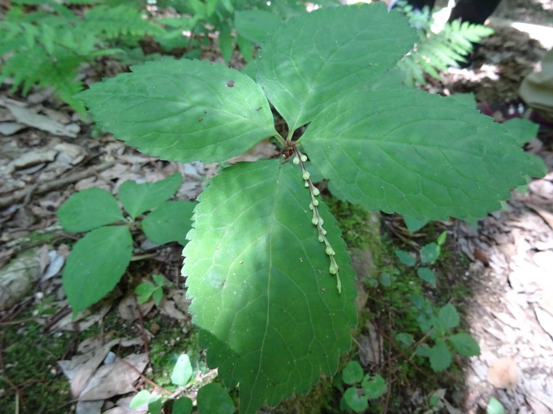 c0108460_01575062.jpg