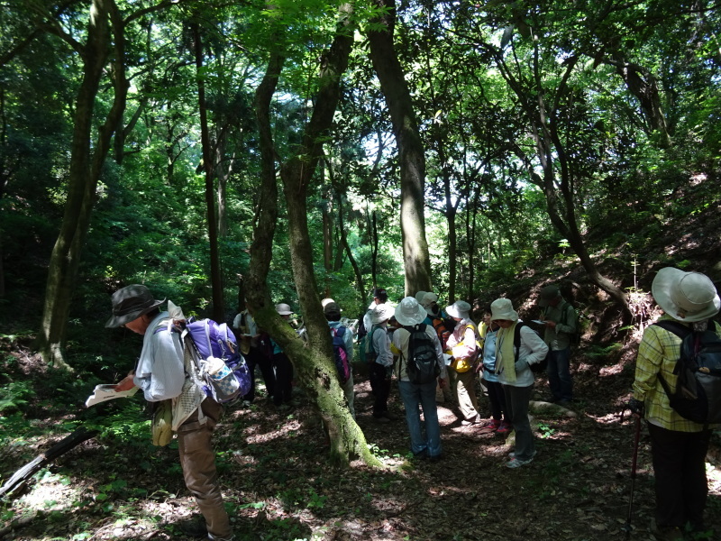 c0108460_01575299.jpg