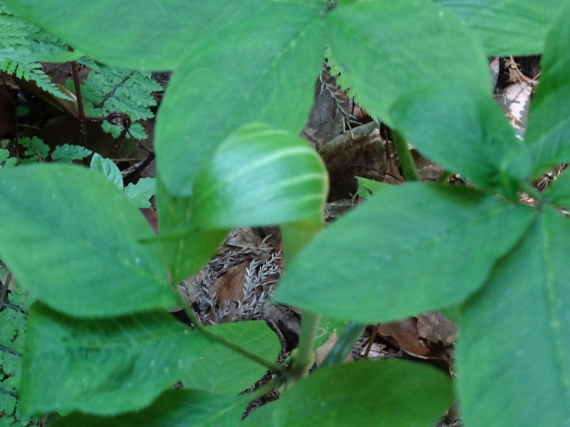 c0108460_01575440.jpg