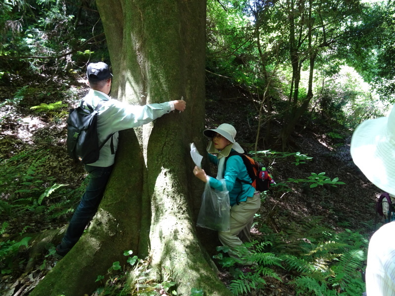 c0108460_01582574.jpg