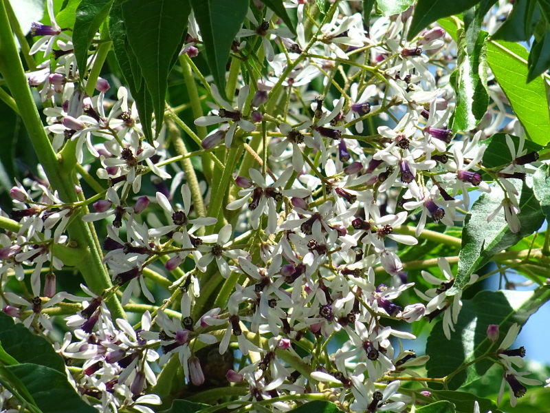 c0108460_01584843.jpg