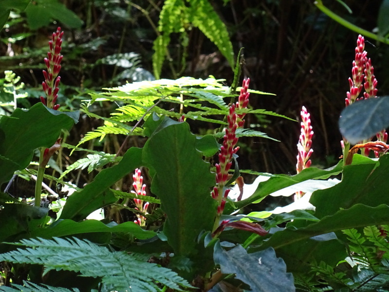 c0108460_02061029.jpg