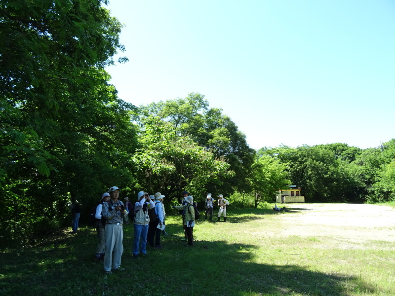 c0108460_02123216.jpg