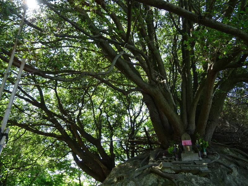 c0108460_02141004.jpg