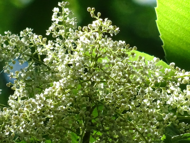 c0108460_02161644.jpg