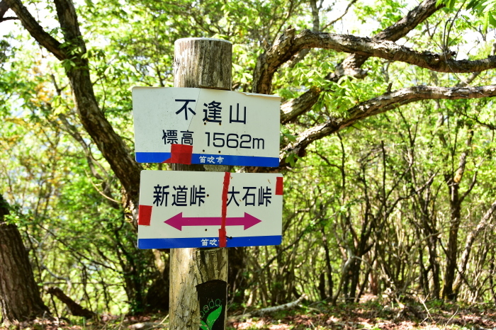 a0307264_12090446.jpg