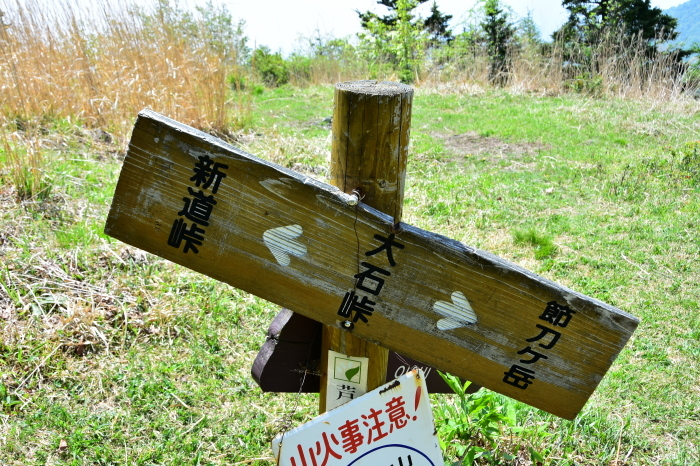a0307264_12104904.jpg