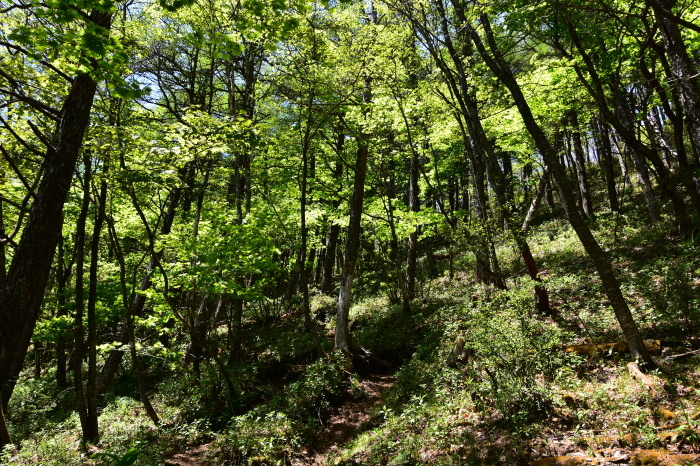 a0307264_13162972.jpg