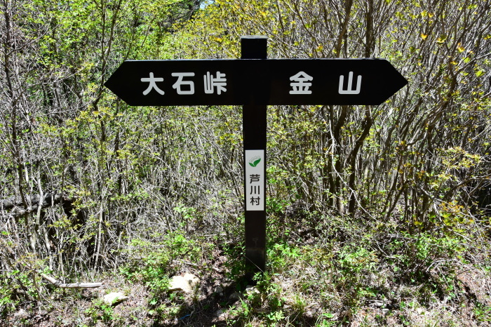 a0307264_14104617.jpg