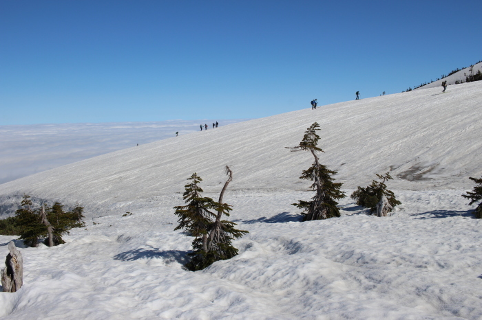 f0223068_12512286.jpg