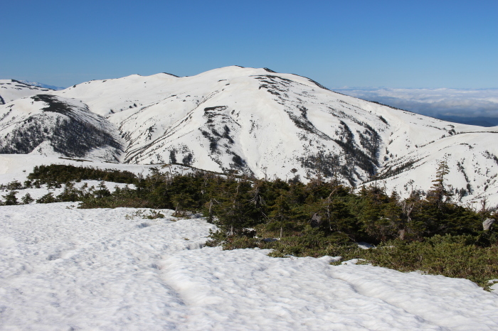 f0223068_12530015.jpg