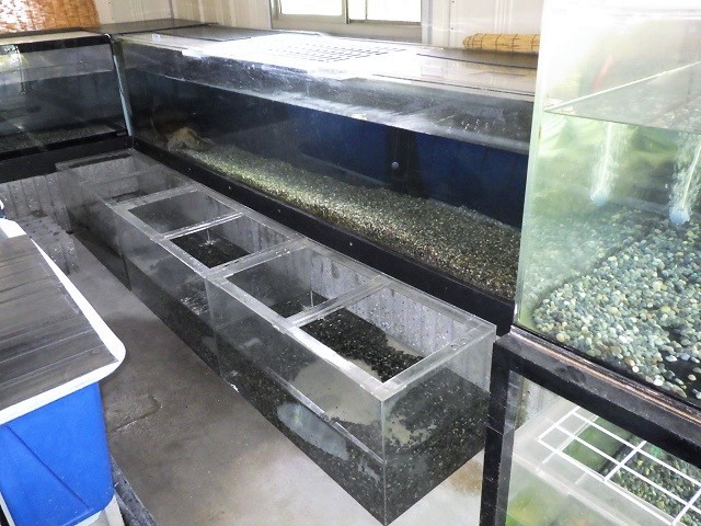 c0105569_01571936.jpg
