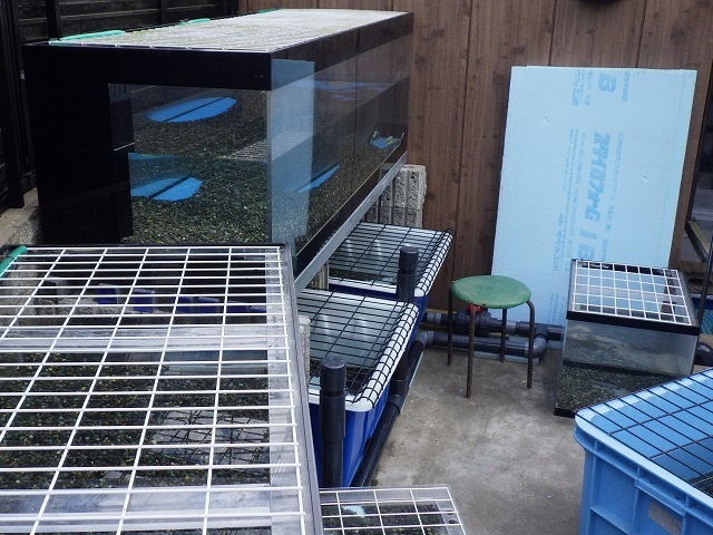 c0105569_01572583.jpg