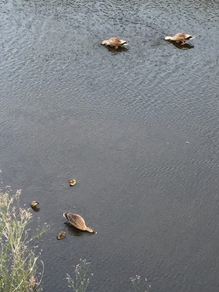 c0122670_23332526.jpg