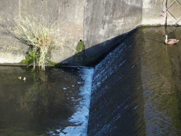 c0122670_23332639.jpg