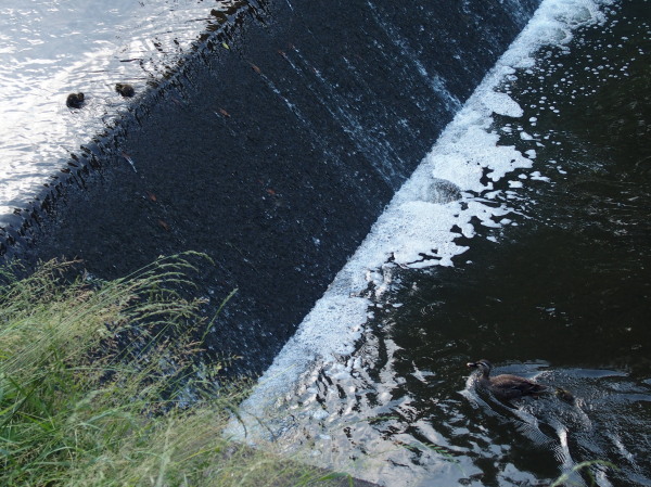 c0122670_23375432.jpg