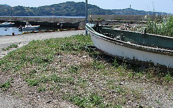 f0003283_18254266.jpg