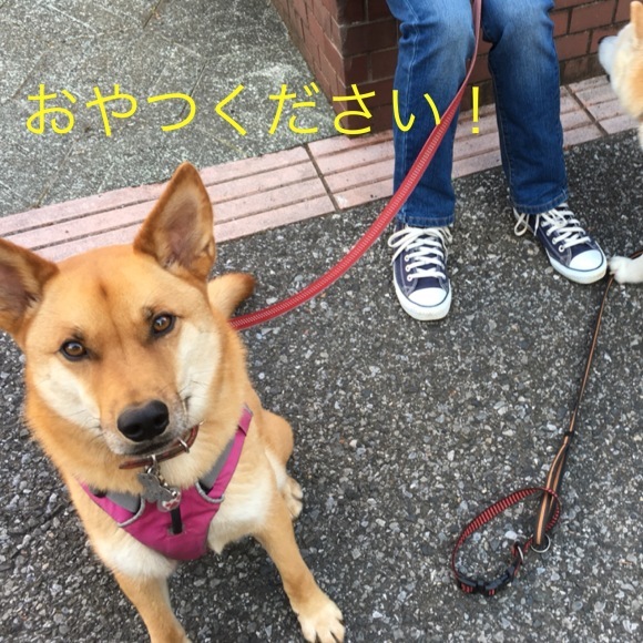 c0123890_19490694.png
