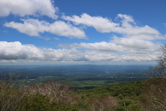 c0004193_23035004.jpg
