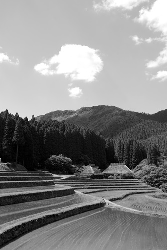 c0196395_2121334.jpg
