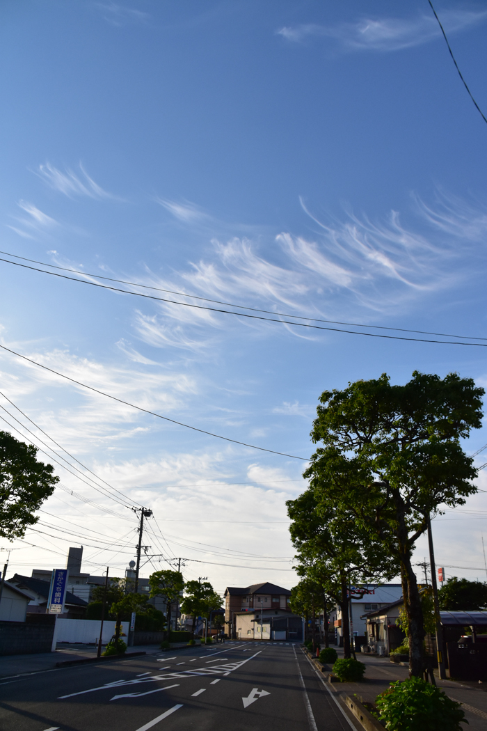 c0049299_21371056.jpg